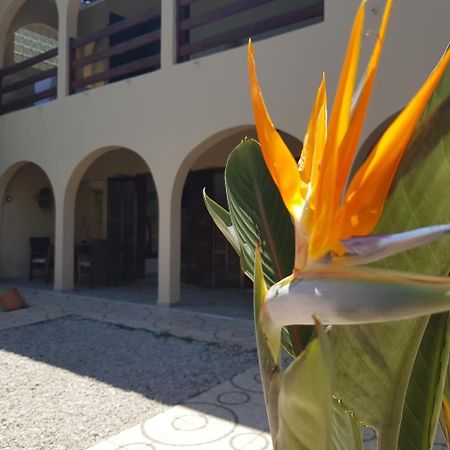Santo Quintal Hostel Ubatuba Zewnętrze zdjęcie